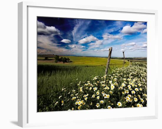 Views of Andalusia, Spain-Felipe Rodriguez-Framed Photographic Print