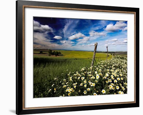 Views of Andalusia, Spain-Felipe Rodriguez-Framed Photographic Print