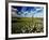 Views of Andalusia, Spain-Felipe Rodriguez-Framed Photographic Print