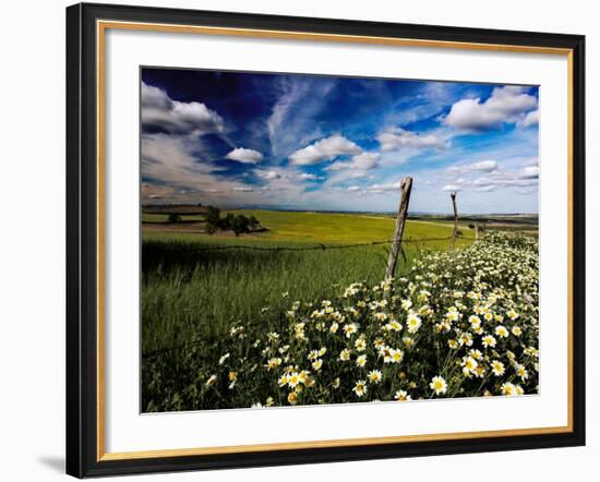 Views of Andalusia, Spain-Felipe Rodriguez-Framed Photographic Print