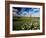 Views of Andalusia, Spain-Felipe Rodriguez-Framed Photographic Print