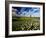 Views of Andalusia, Spain-Felipe Rodriguez-Framed Photographic Print