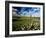 Views of Andalusia, Spain-Felipe Rodriguez-Framed Photographic Print