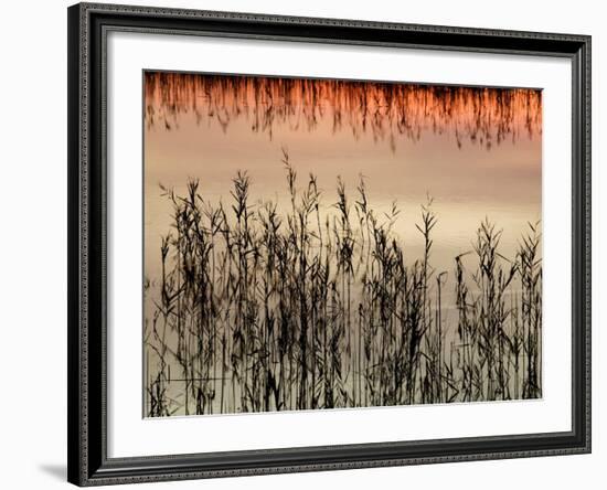 Views of Andalusia, Spain-Felipe Rodriguez-Framed Photographic Print