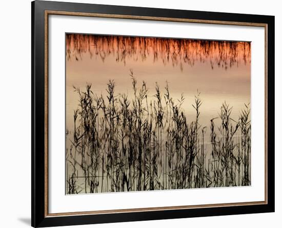 Views of Andalusia, Spain-Felipe Rodriguez-Framed Photographic Print