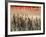 Views of Andalusia, Spain-Felipe Rodriguez-Framed Photographic Print