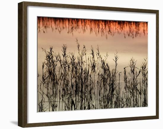 Views of Andalusia, Spain-Felipe Rodriguez-Framed Photographic Print