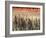 Views of Andalusia, Spain-Felipe Rodriguez-Framed Photographic Print