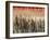 Views of Andalusia, Spain-Felipe Rodriguez-Framed Photographic Print