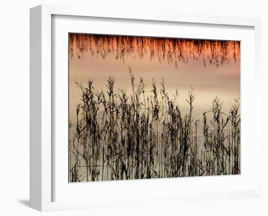 Views of Andalusia, Spain-Felipe Rodriguez-Framed Photographic Print