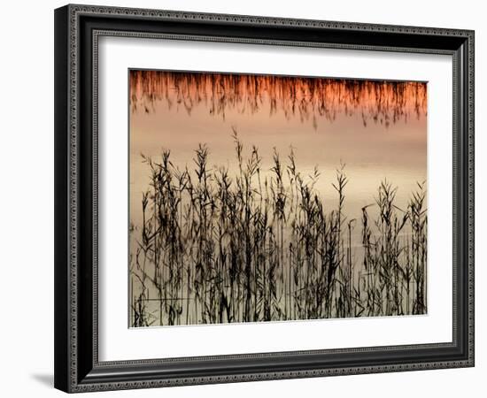 Views of Andalusia, Spain-Felipe Rodriguez-Framed Photographic Print