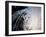 Views of Andalusia, Spain-Felipe Rodriguez-Framed Photographic Print