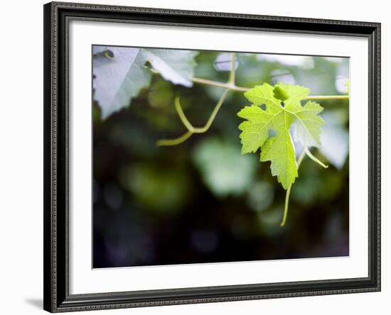 Views of Andalusia, Spain-Felipe Rodriguez-Framed Photographic Print