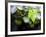 Views of Andalusia, Spain-Felipe Rodriguez-Framed Photographic Print