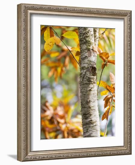 Views of Andalusia, Spain-Felipe Rodriguez-Framed Photographic Print