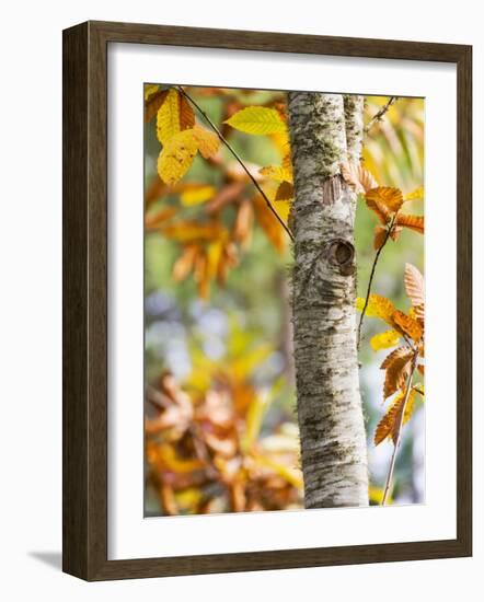 Views of Andalusia, Spain-Felipe Rodriguez-Framed Photographic Print