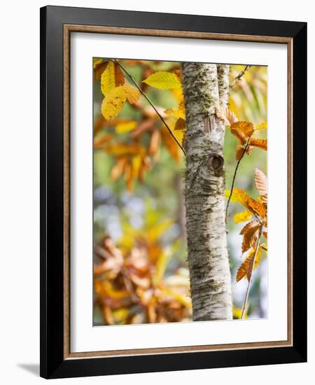 Views of Andalusia, Spain-Felipe Rodriguez-Framed Photographic Print