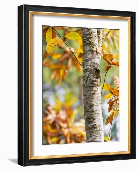 Views of Andalusia, Spain-Felipe Rodriguez-Framed Photographic Print