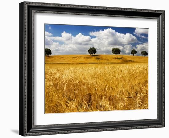 Views of Andalusia, Spain-Felipe Rodriguez-Framed Photographic Print