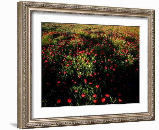 Views of Andalusia, Spain-Felipe Rodriguez-Framed Photographic Print