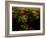 Views of Andalusia, Spain-Felipe Rodriguez-Framed Photographic Print