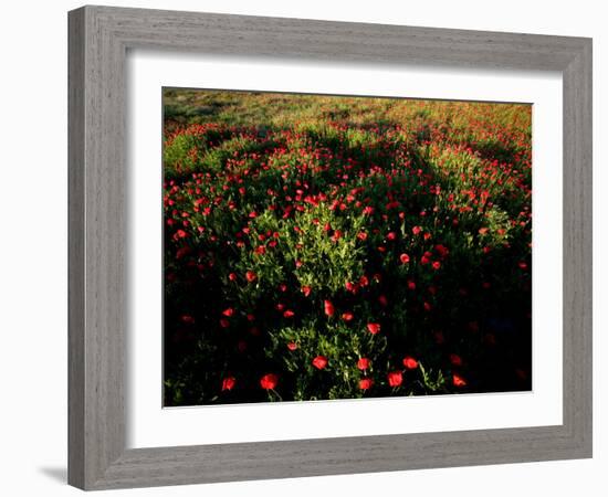 Views of Andalusia, Spain-Felipe Rodriguez-Framed Photographic Print