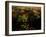 Views of Andalusia, Spain-Felipe Rodriguez-Framed Photographic Print