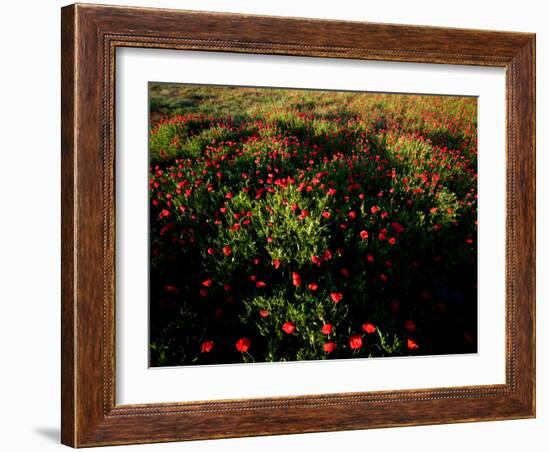 Views of Andalusia, Spain-Felipe Rodriguez-Framed Photographic Print