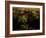 Views of Andalusia, Spain-Felipe Rodriguez-Framed Photographic Print