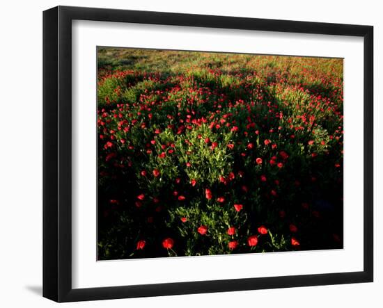 Views of Andalusia, Spain-Felipe Rodriguez-Framed Photographic Print