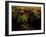 Views of Andalusia, Spain-Felipe Rodriguez-Framed Photographic Print