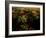 Views of Andalusia, Spain-Felipe Rodriguez-Framed Photographic Print