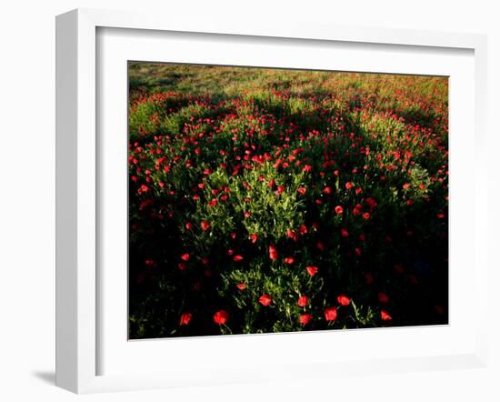 Views of Andalusia, Spain-Felipe Rodriguez-Framed Photographic Print