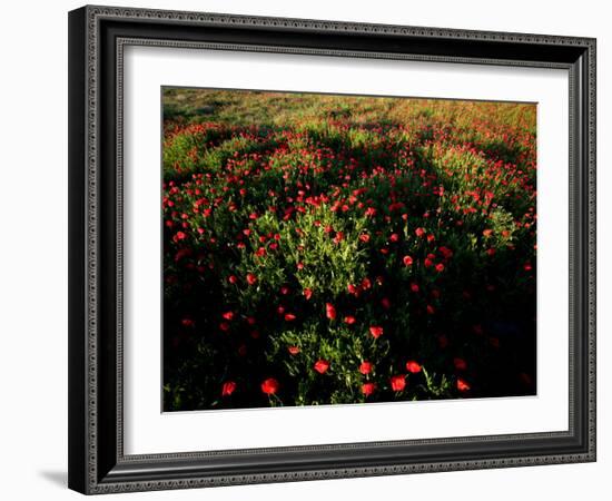 Views of Andalusia, Spain-Felipe Rodriguez-Framed Photographic Print