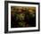 Views of Andalusia, Spain-Felipe Rodriguez-Framed Photographic Print