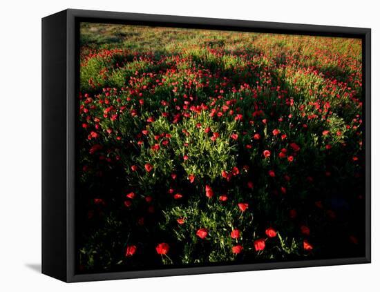 Views of Andalusia, Spain-Felipe Rodriguez-Framed Premier Image Canvas