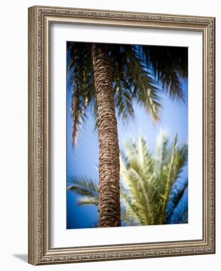 Views of Andalusia, Spain-Felipe Rodriguez-Framed Photographic Print