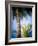 Views of Andalusia, Spain-Felipe Rodriguez-Framed Photographic Print