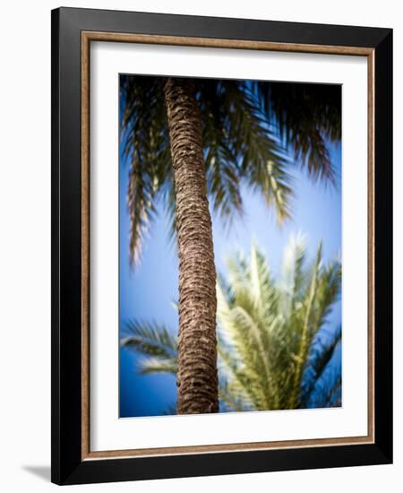 Views of Andalusia, Spain-Felipe Rodriguez-Framed Photographic Print