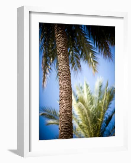 Views of Andalusia, Spain-Felipe Rodriguez-Framed Photographic Print