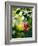 Views of Andalusia, Spain-Felipe Rodriguez-Framed Photographic Print