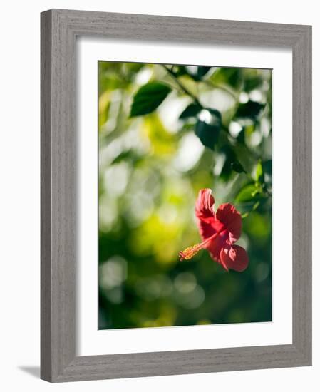 Views of Andalusia, Spain-Felipe Rodriguez-Framed Photographic Print