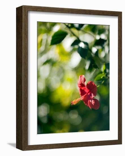 Views of Andalusia, Spain-Felipe Rodriguez-Framed Photographic Print