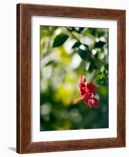 Views of Andalusia, Spain-Felipe Rodriguez-Framed Photographic Print