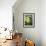 Views of Andalusia, Spain-Felipe Rodriguez-Framed Photographic Print displayed on a wall