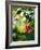 Views of Andalusia, Spain-Felipe Rodriguez-Framed Photographic Print