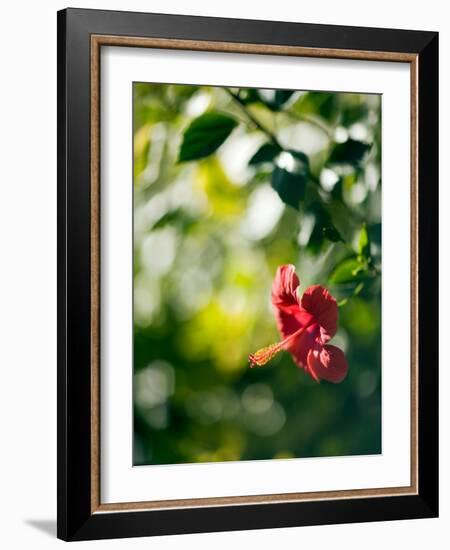 Views of Andalusia, Spain-Felipe Rodriguez-Framed Photographic Print