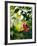 Views of Andalusia, Spain-Felipe Rodriguez-Framed Photographic Print