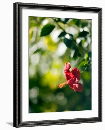 Views of Andalusia, Spain-Felipe Rodriguez-Framed Photographic Print