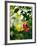 Views of Andalusia, Spain-Felipe Rodriguez-Framed Photographic Print